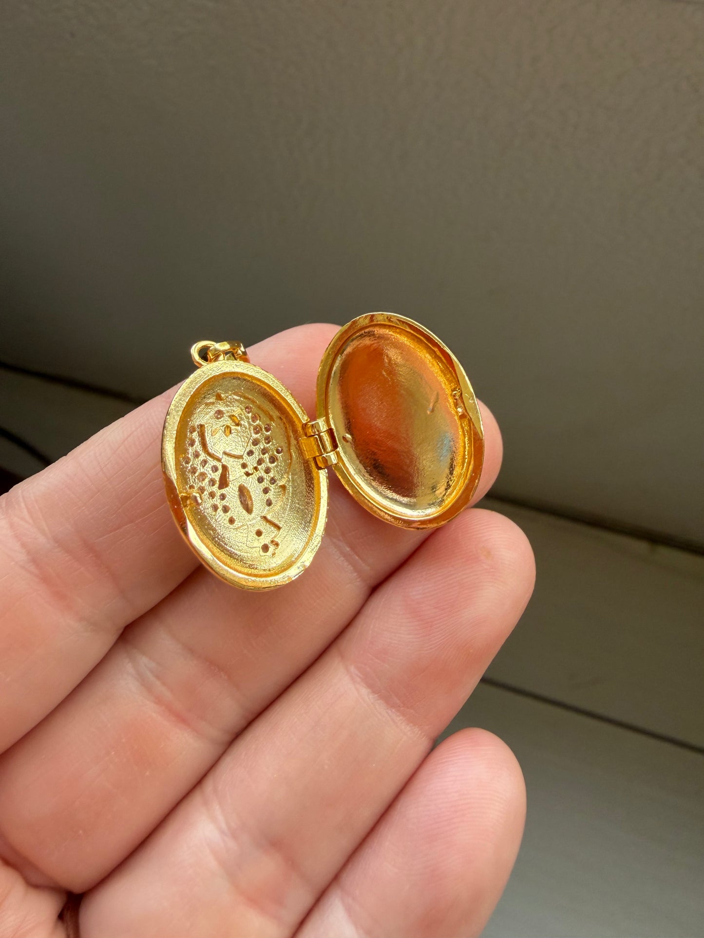 Locket with Bird Gold Filled Necklace (Cubic Zirconia)