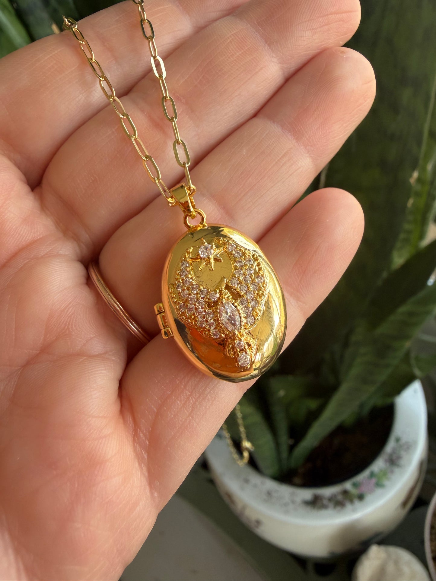 Locket with Bird Gold Filled Necklace (Cubic Zirconia)